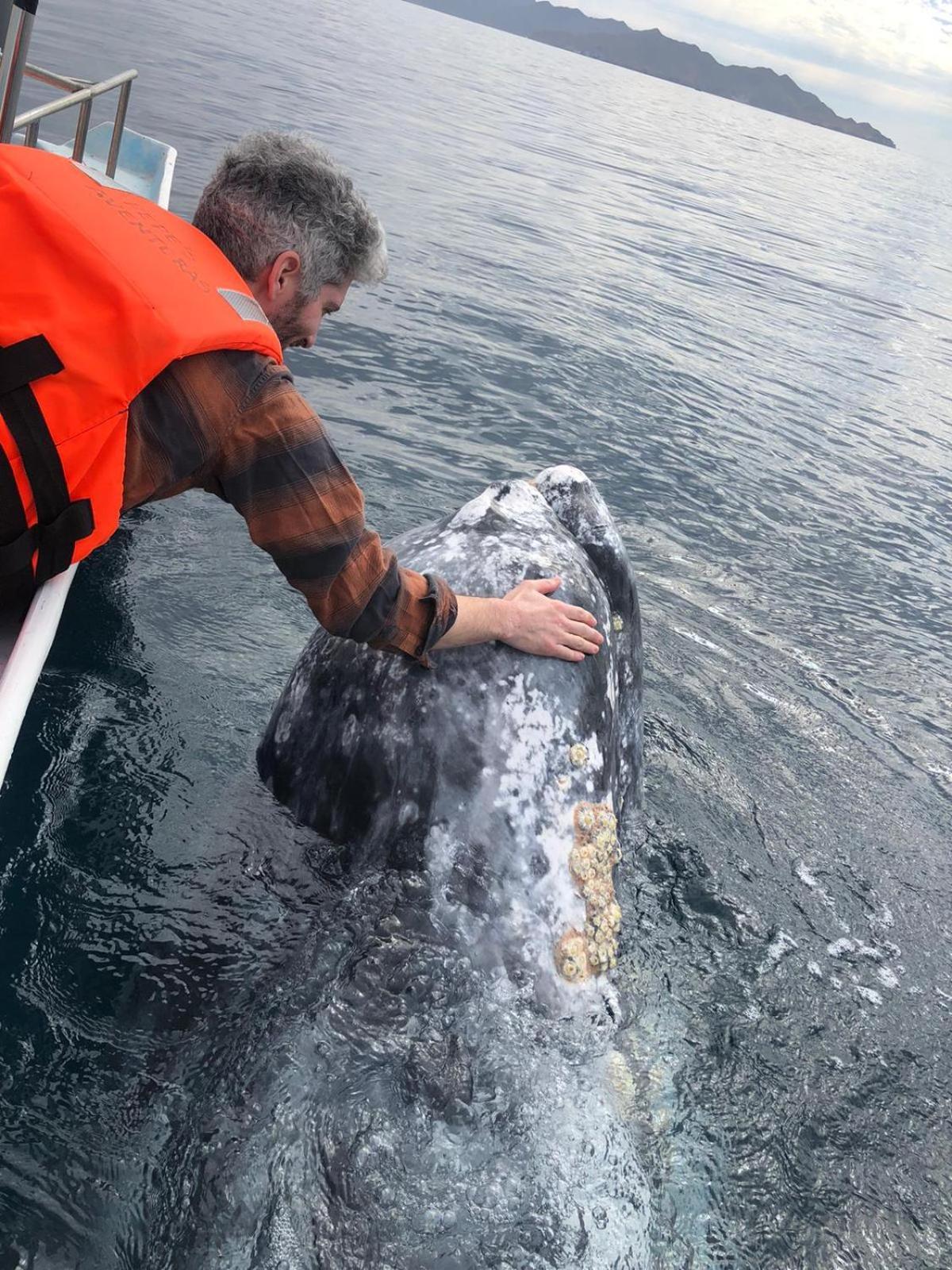 Hotel- Whale Tours And Sport Fishing Vista Mag-Bay Puerto San Carlos Esterno foto
